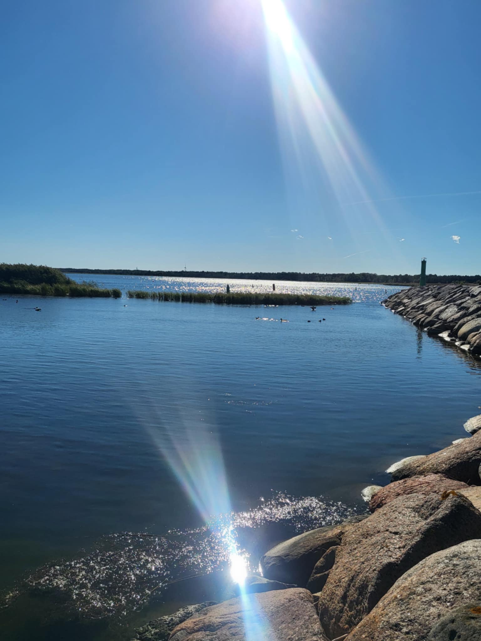 about-01 301880f3 Fea9 4d84 9d7a 342369dd8a8b 1